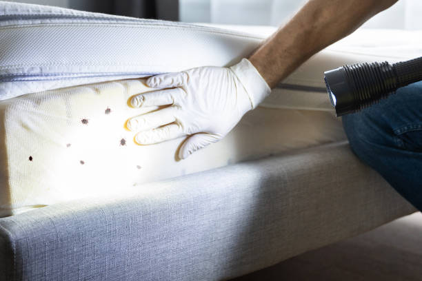 Best Commercial Pest Control Services  in Northfield, OH