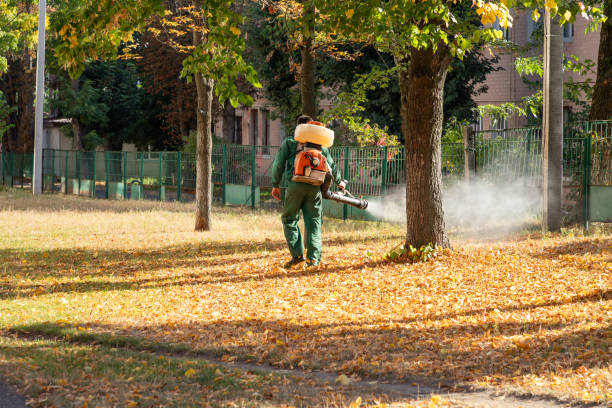 Best Flea Control Services  in Northfield, OH