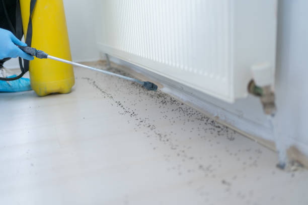 Best Local Pest Control Services  in Northfield, OH